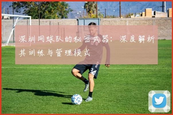 深圳网球队的秘密武器：深度解析其训练与管理模式