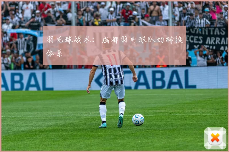 羽毛球战术：成都羽毛球队的转换体系