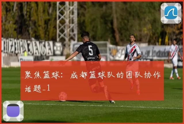 聚焦篮球：成都篮球队的团队协作话题_1