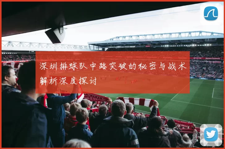 深圳排球队中路突破的秘密与战术解析深度探讨