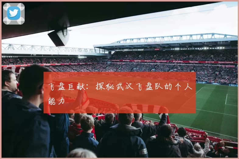 飞盘巨献：探秘武汉飞盘队的个人能力