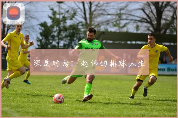 深度对话：赵伟的排球人生